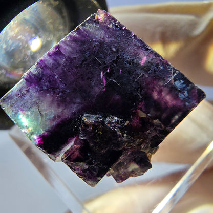 Phantom Fluorit Würfel parkettiert, grün lila Okorusu, Namibia 16*16*16mm