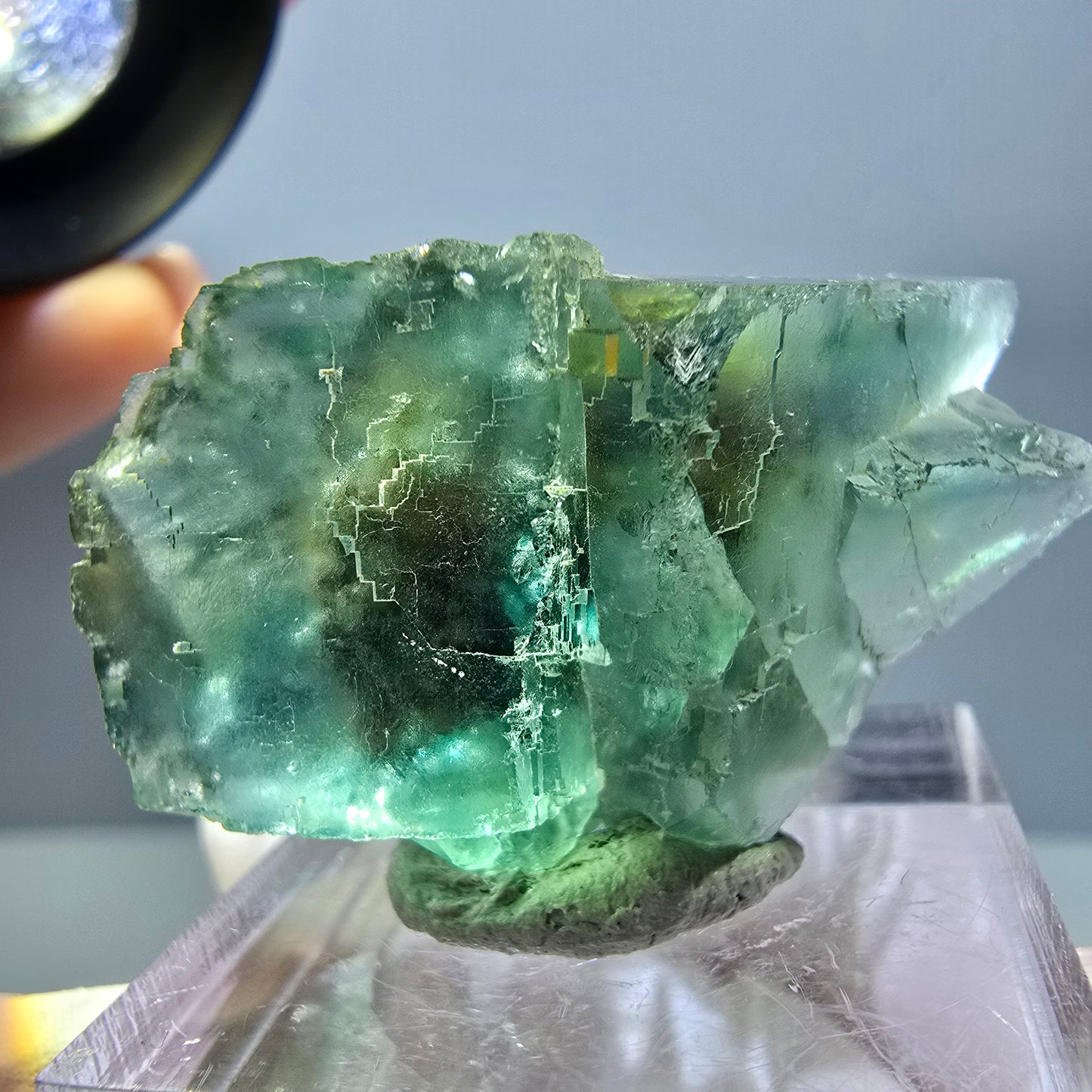Spécimen de cube de fluorite fantôme, parquet vert Okorusu, Namibie 38 x 25 x 13 mm 