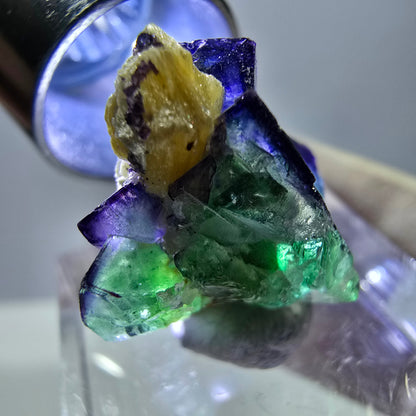 Cube de fluorite fantôme, zonal, spécimen de muscovite, Erongo, Namibie, 21 x 20 x 17 mm 