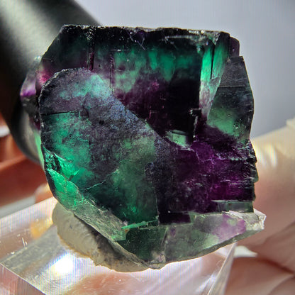 Phantom Fluorit Würfel Stufe, parkettiert grün lila Okorusu, Namibia 39*32*20mm