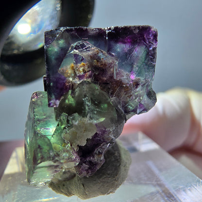 Spécimen de cube de fluorite fantôme, parqueté vert violet Okorusu, Namibie 25*19*15 mm 