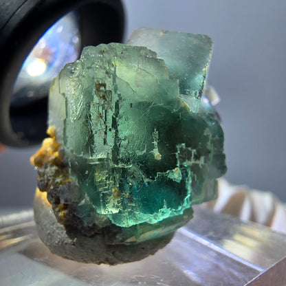 Spécimen de cube de fluorite fantôme, parquet vert Okorusu, Namibie 25 x 20 x 15 mm 