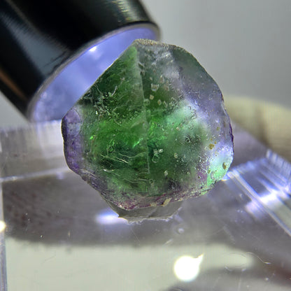 Phantom Fluorit Würfe, hexagonal, grün weiß Erongo, Namibia 12*9*9mm