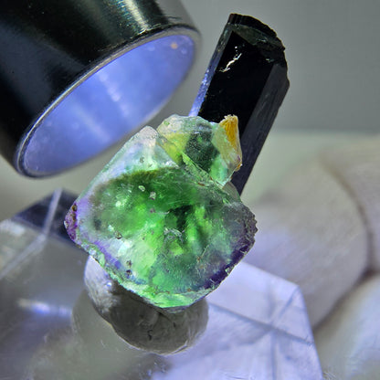 Cube de fluorite fantôme, spécimen de tourmaline schol moscovite, Erongo, Namibie, 19 x 11 x 10 mm 