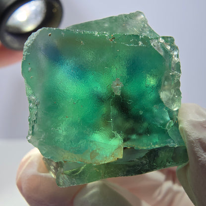 Spécimen de cube de fluorite fantôme transparente, vert parqueté, Okorusu, Namibie, 48 x 29 x 25 mm 