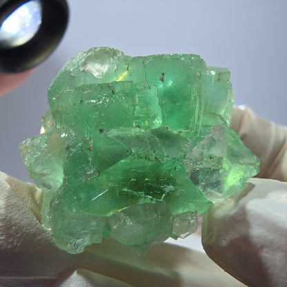 Spécimen de cube de fluorite fantôme transparente, vert parqueté, Okorusu, Namibie, 46 x 35 x 21 mm 