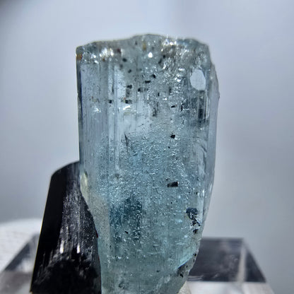 Seltener Aquamarin X mit Schörl Turmalin Erongo, Namibia 23*14*13mm