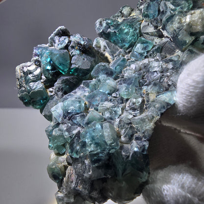 Rares cubes de fluorite fantôme zonaux, vert violet, Erongo, Namibie 75 x 53 x 15 mm 