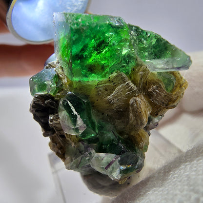 Spécimen de cube de fluorite fantôme zonal, de muscovite et de tourmaline Schorl, Erongo, Namibie, 31 x 24 x 27 mm 