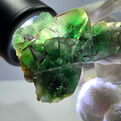 Cube de fluorite fantôme zonal, tourmaline muscovite Schörl Erongo Namibie 31 x 22 x 20 mm 