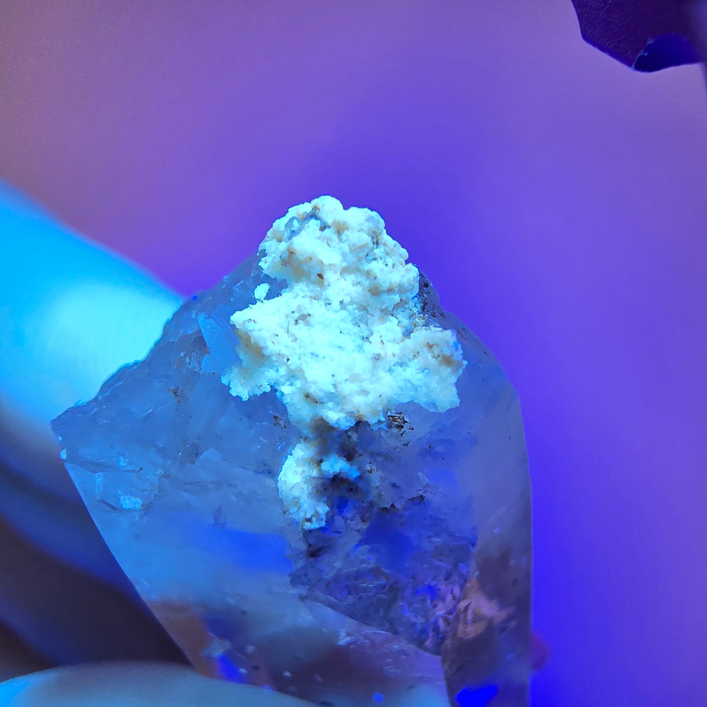 Quartz fumé fantôme Enhydro Harlequin, mine de calcite UV Streep, Namibie, 41 x 16 x 9 mm 