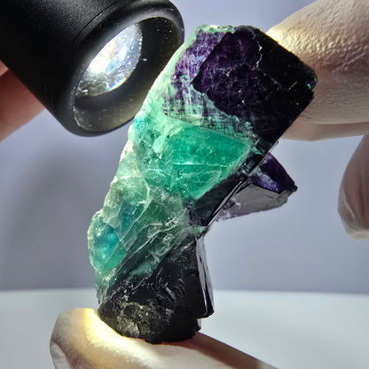 Spécimen de cube de fluorite fantôme vert violet zonal 11:11 Angel Pocket, Namibie 44*32*25mm 