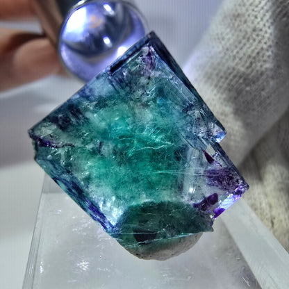 Rare cube de fluorite fantôme, vert violet zonal Okorusu, Namibie 22 x 22 x 12 mm 