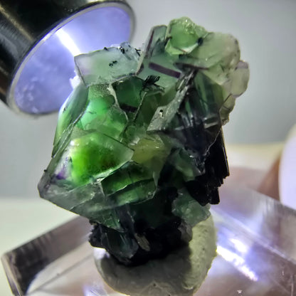 Cube de fluorite fantôme, zonal, muscovite, spécimen de tourmaline Schorl, Erongo, Namibie, 22 x 20 x 15 mm 