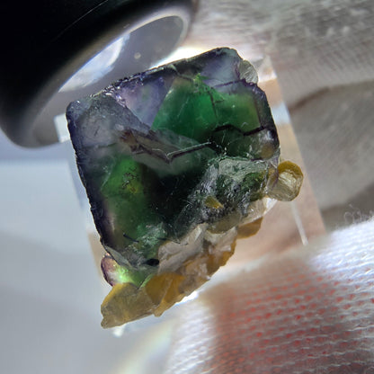 Cube de fluorite fantôme zonal, tourmaline muscovite Schörl Erongo Namibie 24 x 20 x 18 mm 