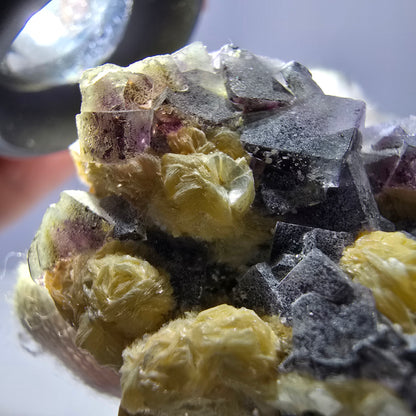 Spécimen de fluorite fantôme colorée, tourmaline schol, muscovite, hyalite, Erongo, Namibie, 42 x 28 x 29 mm 