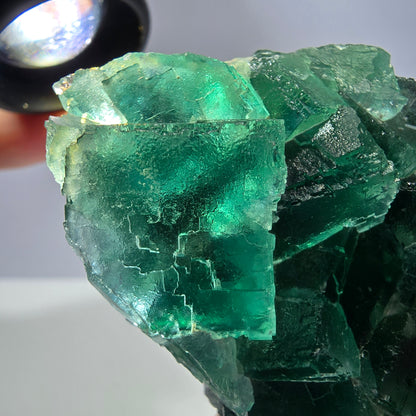 Rare spécimen de cube de fluorite fantôme, parqueté vert Okorusu, Namibie, 61 x 48 x 24 mm 