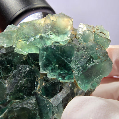 Spécimen de cube de fluorite fantôme transparente, vert parqueté, Okorusu, Namibie, 57 x 44 x 19 mm 