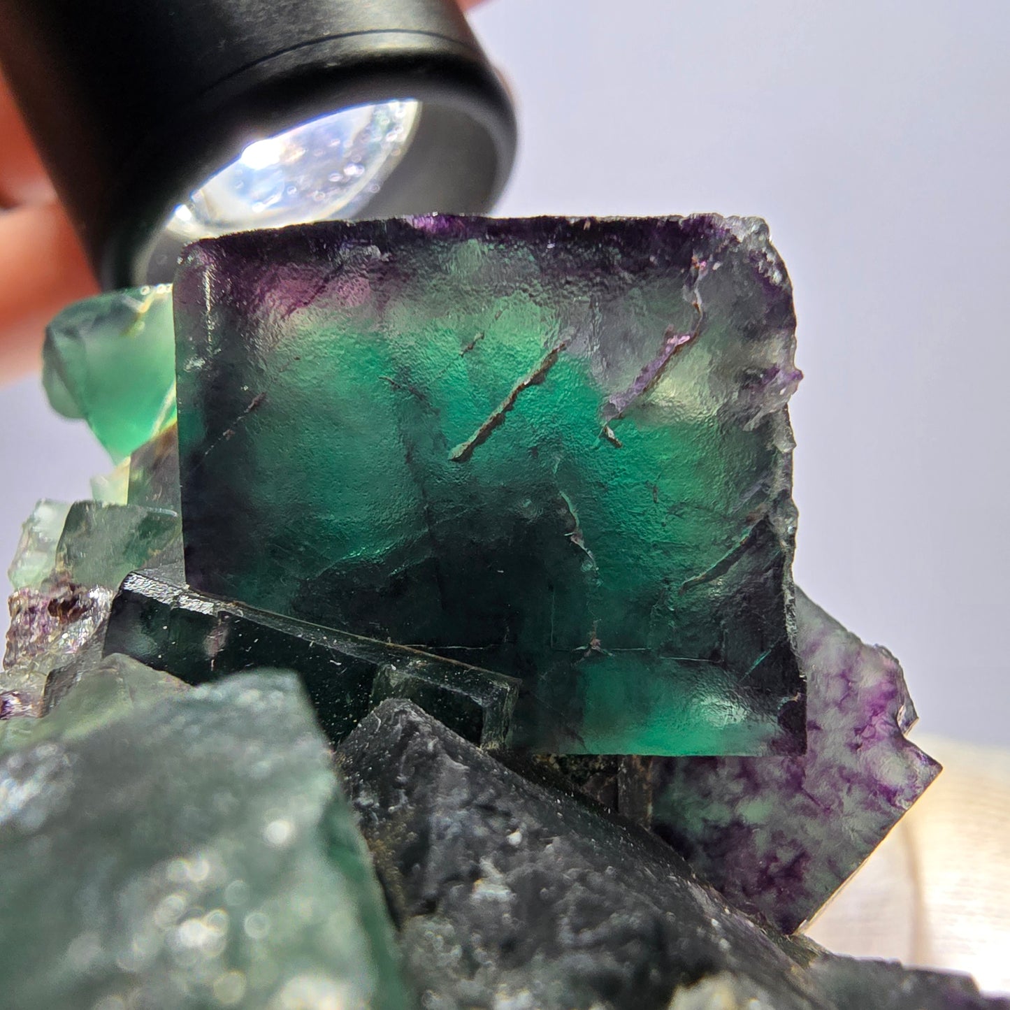 Große Phantom Fluorit Würfel Stufe parkettiert zonal Okorusu Namibia 100*47*36mm