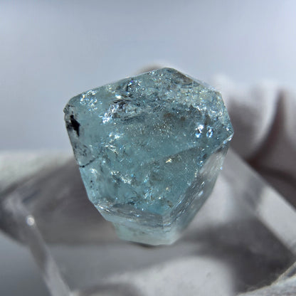 Aigue-marine Setlene, spécimen de tourmaline Schorl, Erongo, Namibie, 23 x 11 x 9 mm 