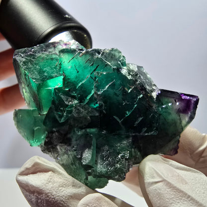 Spécimen de cube de fluorite fantôme, parqueté, vert violet Okorusu, Namibie 62*46*32mm 