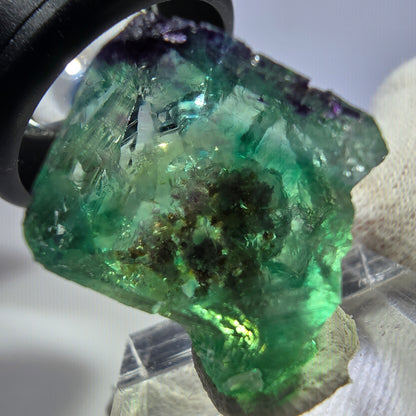 Rare spécimen de cube de fluorite fantôme, vert-violet zonal, Okorusu, Namibie, 26 x 21 x 18 mm 