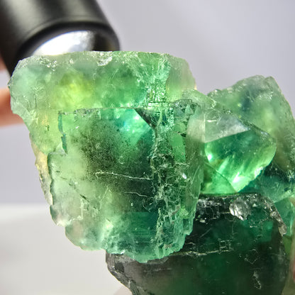 Spécimen de cube de fluorite fantôme transparente, vert parqueté, Okorusu, Namibie, 55 x 45 x 23 mm 