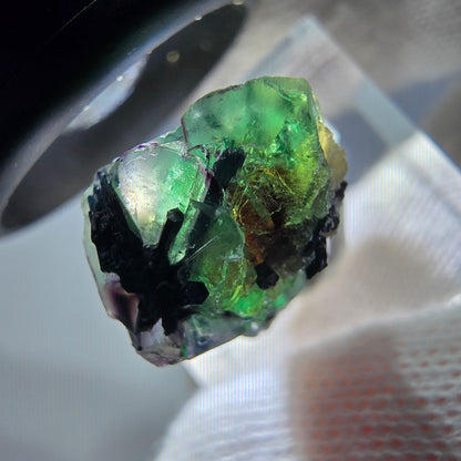 Cube de fluorite fantôme zonal, tourmaline muscovite Schorl Erongo Namibie 24 x 16 x 12 mm 