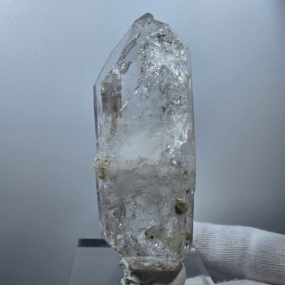 Sceptre DT en quartz fumé lémurien Enhydro, 1 gobob de poche Bubble Valentine. Namibie 89 x 33 x 21 mm 