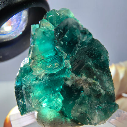 Spécimen de cube de fluorite fantôme, parquet vert Okorusu, Namibie 37 x 29 x 20 mm 
