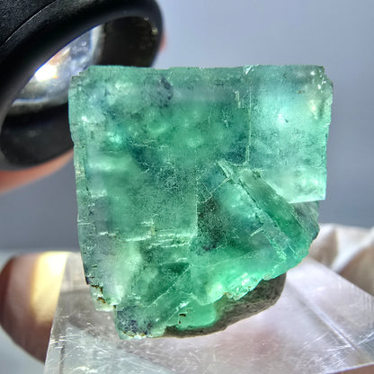 Spécimen de cube de fluorite fantôme, parquet vert Okorusu, Namibie 22 x 21 x 16 mm 