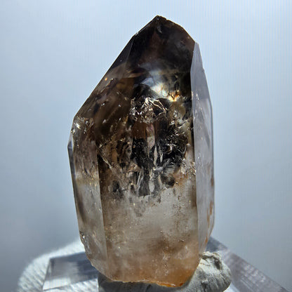 Enhydro Phantom Smoky Quartz Scepter, 2x Bubble Goboboseb, Namibia 33*19*17mm 