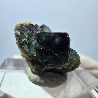 Cube de fluorite fantôme, zonal, spécimen de muscovite, Erongo, Namibie, 18 x 12 x 11 mm 