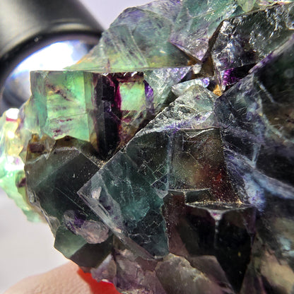 Spécimen de cube de fluorite fantôme, parqueté vert violet Okorusu, Namibie 64*41*19 mm 