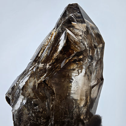 Enhydro Skeleton Smoky Quartz DT Scepter, 1x Bubble Valentine Pocket, Namibia 126*59*39mm 