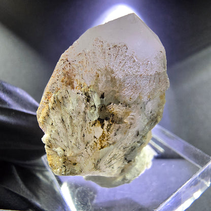 Belle pointe de quartz en cristal de sceptre de quartz fumé 32 * 27 * 20 mm de Goboboseb Namibie