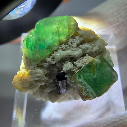 Spécimen de tourmaline Schorl et d'orthose cubique de fluorite fantôme, Erongo, Namibie, 20 x 17 x 16 mm 