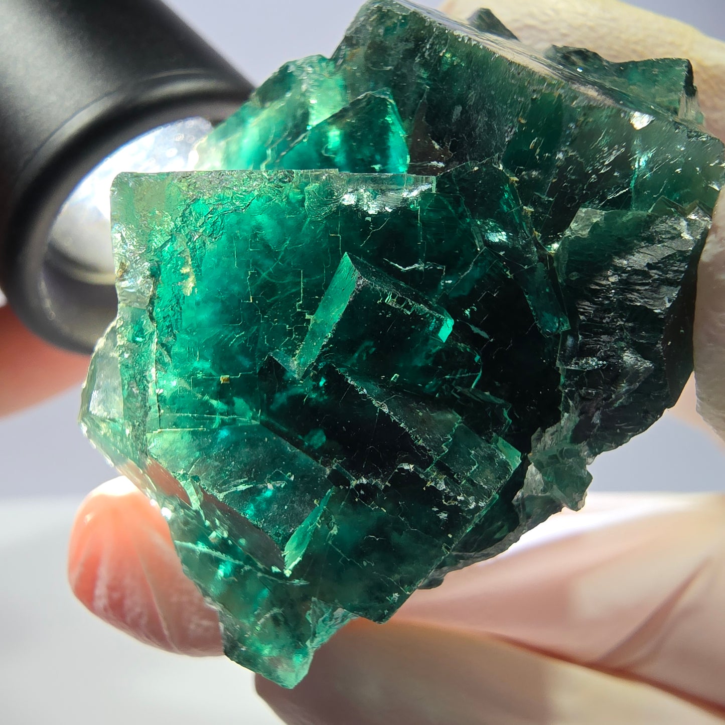 Spécimen de cube de fluorite fantôme, parqueté vert violet Okorusu, Namibie 47*36*24 mm 