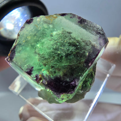 Cube de fluorite fantôme parqueté, zonal, vert violet Okorusu, Namibie 22*21*19mm 
