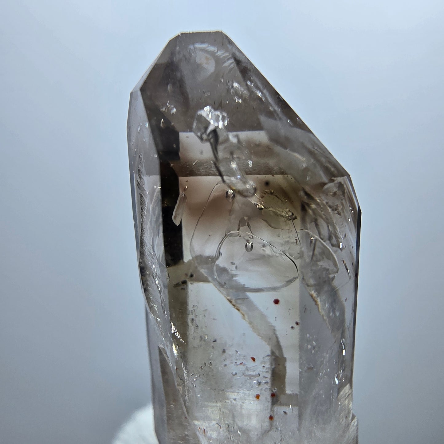 Sceptre Enhydro Phantom Smoky Quartz DT, 2x Bubble Goboboseb, Namibie 42 x 12 x 13 mm 