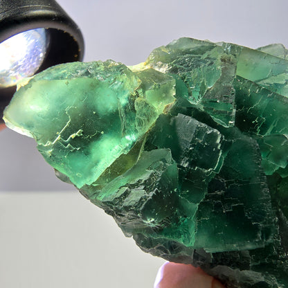 Rare spécimen de cube de fluorite fantôme, parqueté vert Okorusu, Namibie, 61 x 45 x 28 mm 