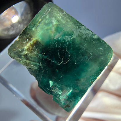 Cube de fluorite fantôme transparente parquetée, vert Okorusu, Namibie 15 x 15 x 13 mm 