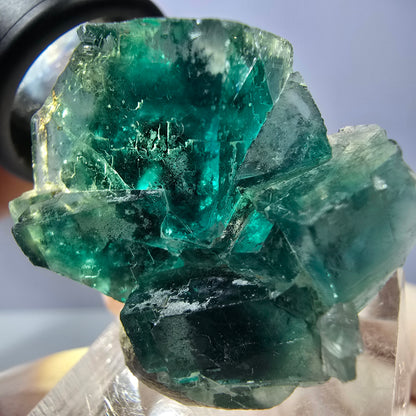 Rare spécimen de cube de fluorite fantôme, vert Okorusu, Namibie 32 x 29 x 17 mm 