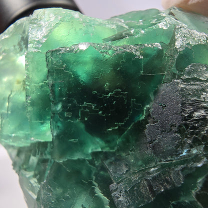 Spécimen de cube de fluorite fantôme transparente, vert parqueté, Okorusu, Namibie, 77 x 54 x 38 mm 