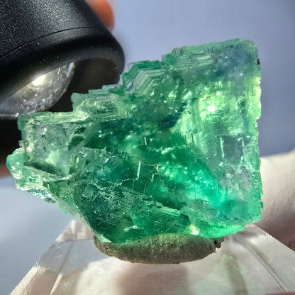 Cube de fluorite fantôme transparente parquetée, vert Okorusu, Namibie 28 x 24 x 22 mm 