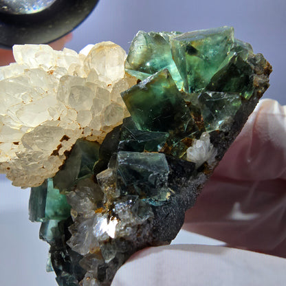 Rare cube de fluorite fantôme, spécimen de quartz vert Okorusu, Namibie, 52 x 37 x 35 mm 