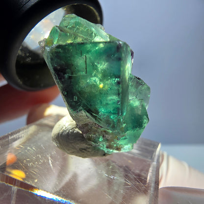 Spécimen de cube de fluorite fantôme, parqueté vert violet Okorusu, Namibie 25*21*14 mm 