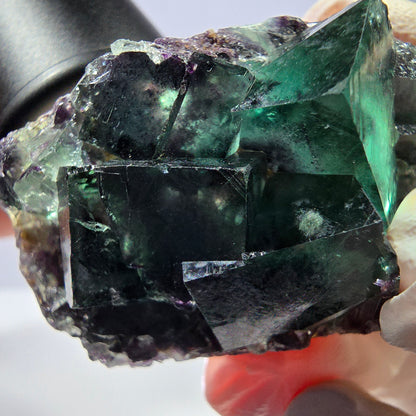 Phantom Fluorit Würfel Stufe, parkettiert grün lila Okorusu, Namibia 49*31*21mm
