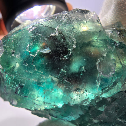 Rare spécimen de cube de fluorite fantôme, parqueté vert Okorusu, Namibie, 78 x 47 x 35 mm 