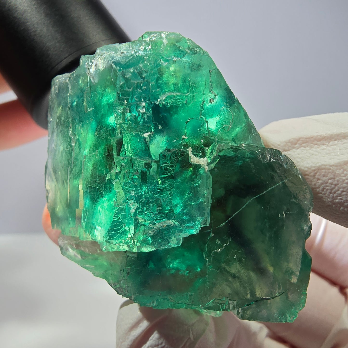 Spécimen de cube de fluorite fantôme, vert parqueté Okorusu, Namibie 50 x 36 x 33 mm 